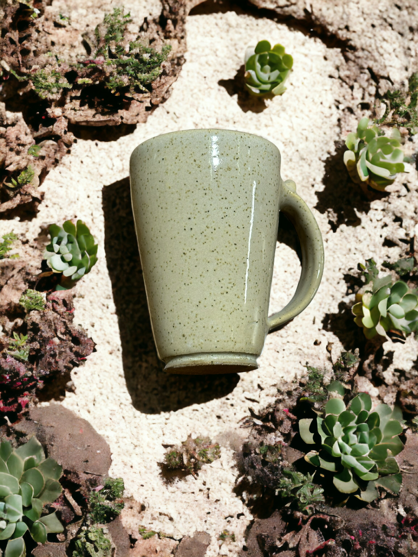 Desert Tableware Collection - Cacti Mugs