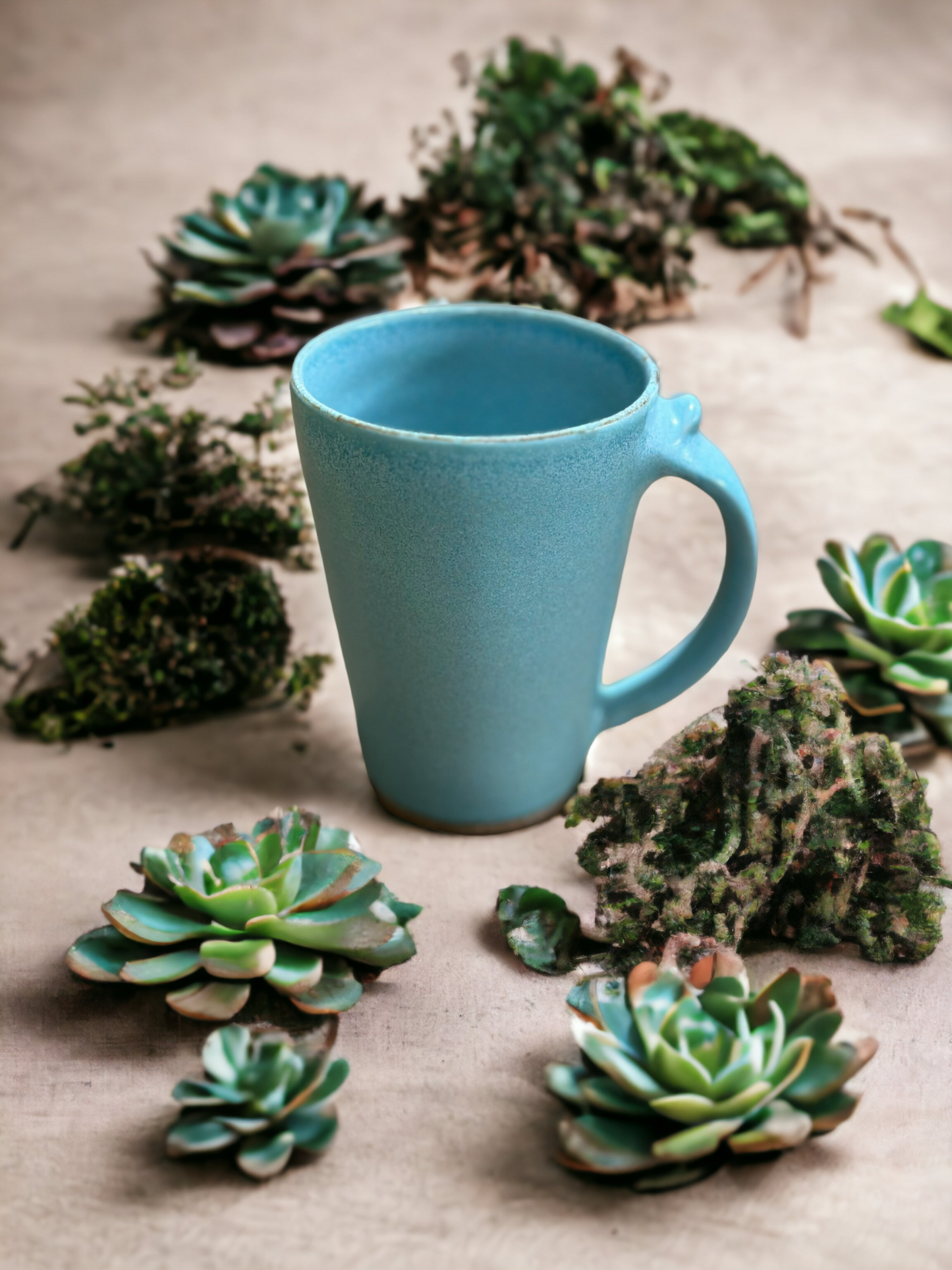 Desert Tableware Collection - Cacti Mugs