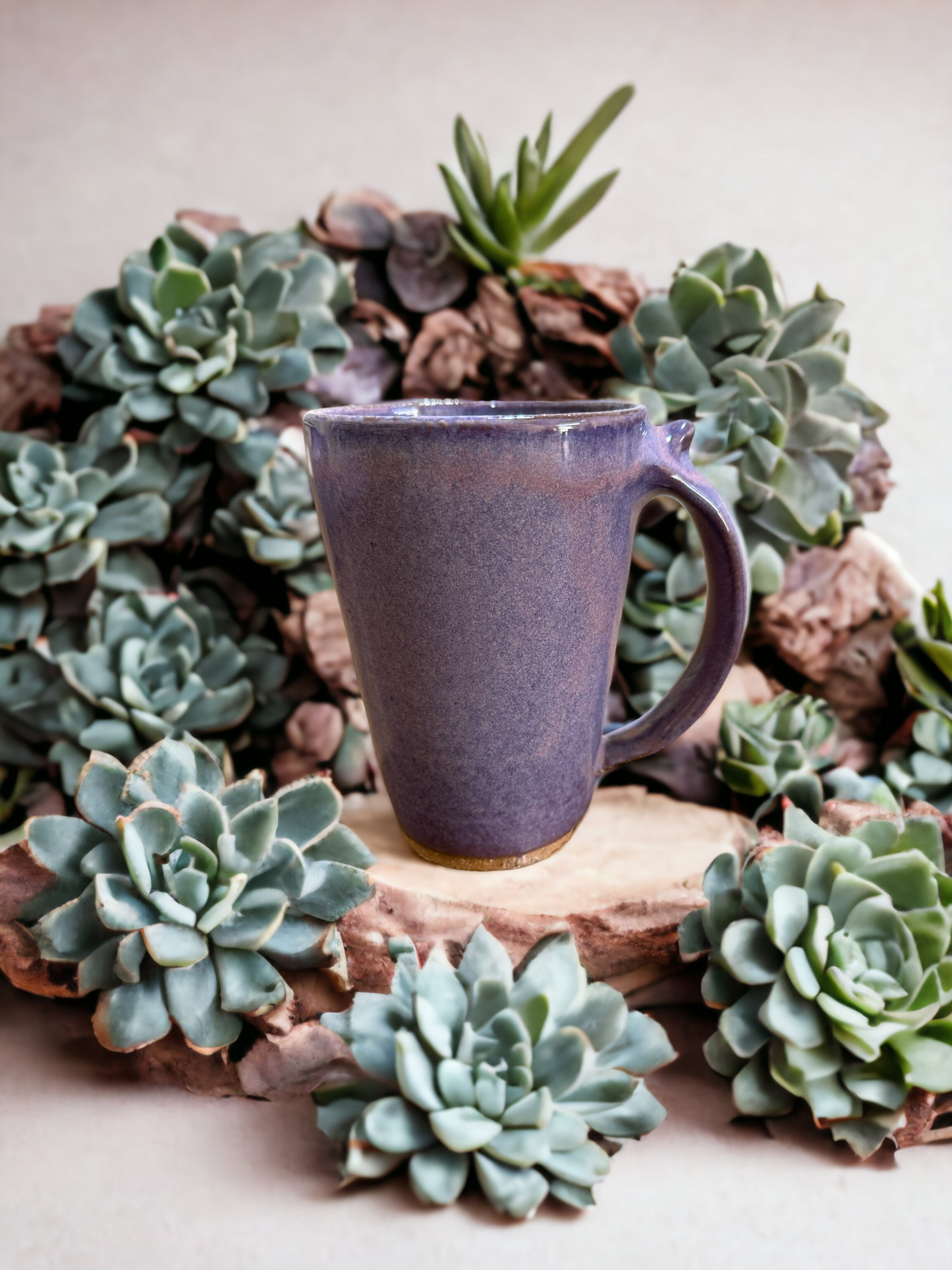 Desert Tableware Collection - Cacti Mugs